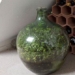 planting trees in glass terrarium 44303