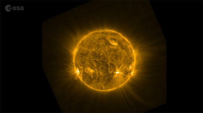 Plasma in the snake following a long magnetic field line