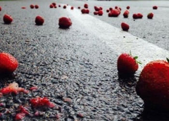 plastic strawberry flavor to reduce odors for workers 121611