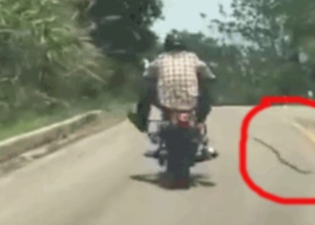 poisonous snake attack man riding motorcycle 119437