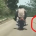 poisonous snake attack man riding motorcycle 119437