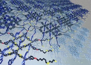 population phenomenon turns into a record setting fabric created by the worlds thinnest fabric 118215