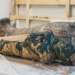 pregnant woman dies from cancer 121684