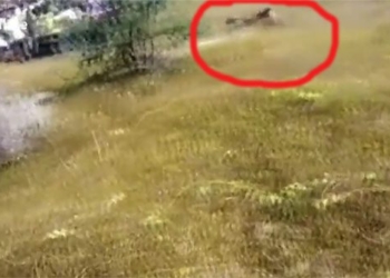 protect mai lao from dust 4 people injured 118942