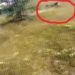 protect mai lao from dust 4 people injured 118942