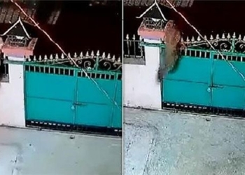 protective cover hanging over the door compact for the house remove the round 117988