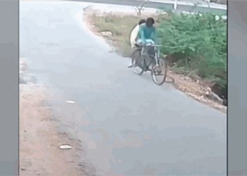 python snake bitten 2 young men on bikes 117921