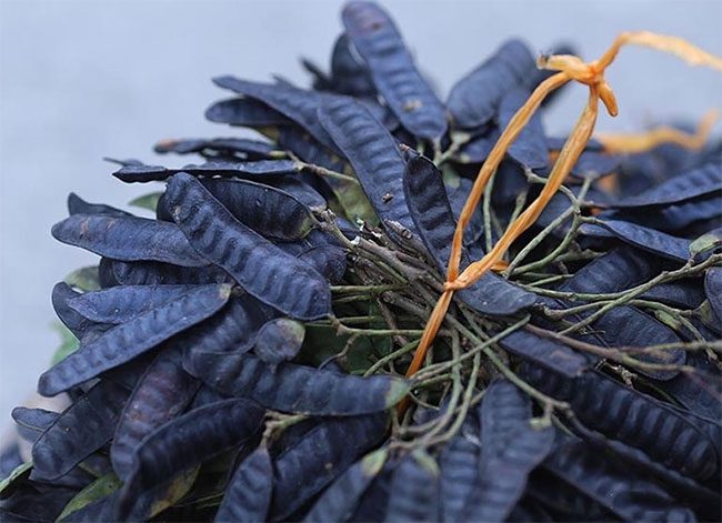 The natural fragrance of soapberry after being burned will clear the nasal passages, making breathing easier.