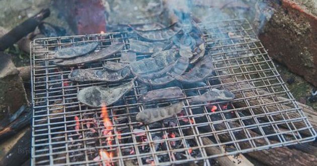 Burning soapberry is an effective method for purifying the air and disinfecting...