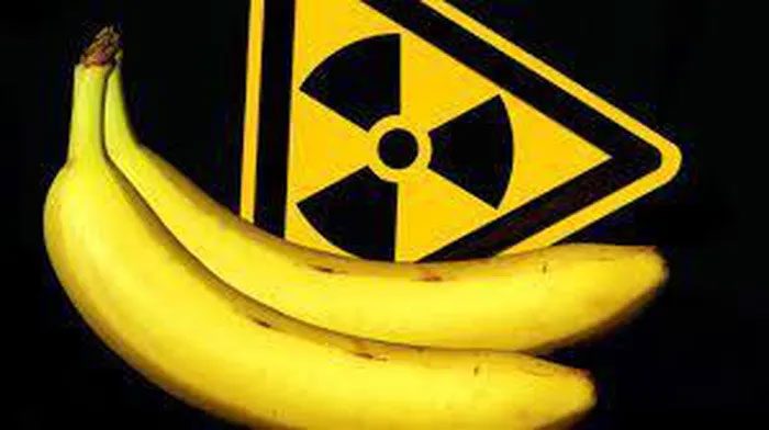 Bananas have a naturally high potassium content, and a small portion of all potassium is radioactive.