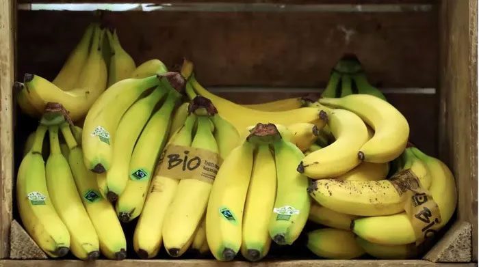 Bananas displayed in a store in Halle, Belgium.