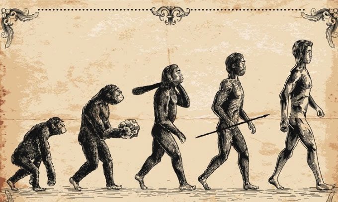 Humans lost their tails 25 million years ago.
