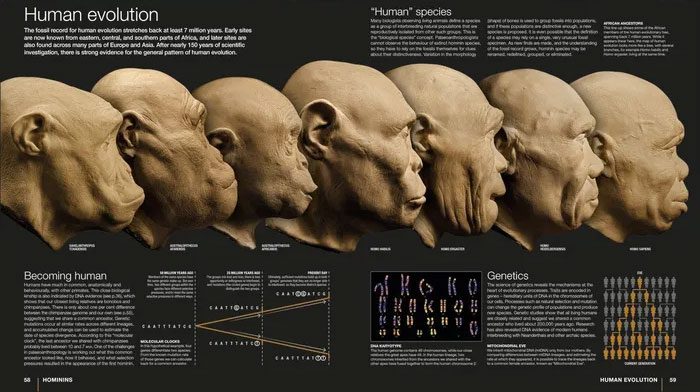 The habitats of prehistoric human groups reacted to climate-induced changes.
