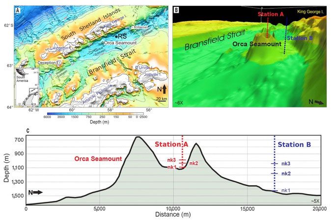 "Fire Monster" Orca Seamount