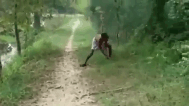 This king cobra has killed the man's son
