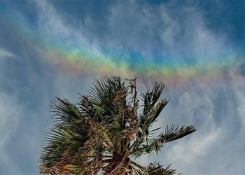 rainbow or dream illustrating people watching of creator 119337