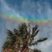 rainbow or dream illustrating people watching of creator 119337