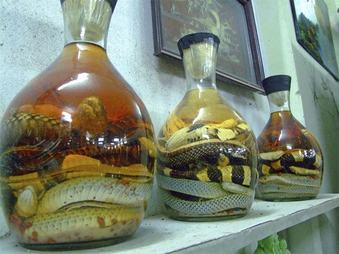 Snakes used for making liquor.