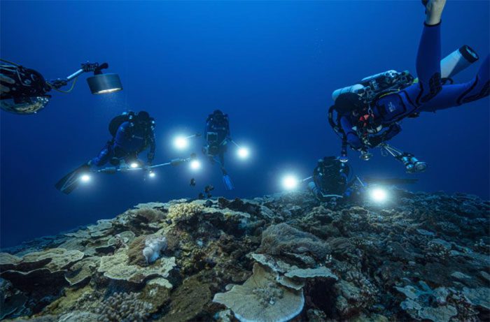 Research team studying coral reef off the coast of Tahiti, French Polynesia