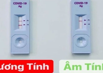 rapid test t dam or open covid 19 severity 119284