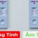 rapid test t dam or open covid 19 severity 119284