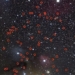 rare discovery of solo planets 118181
