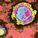 rare virus causing near 100 deaths unexpectedly reappears 121084