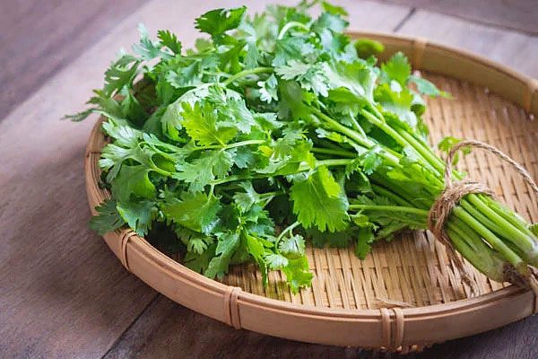 Chlorophyll in coriander leaves helps detoxify the blood.