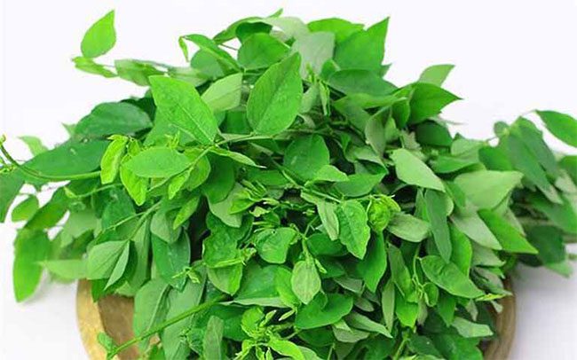 Leaves of the bitter herb contain active compounds that can stimulate testosterone hormone production.