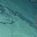 recorded harmful squid in transparent water at a depth of 2200m below sea level 120635