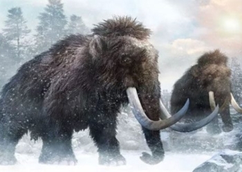 research house wants to release thousands with mammoths in the arctic 122505