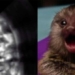 research new publication for mother when under shock call mom since in the womb 122202