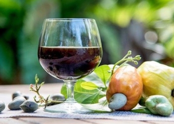 research wine production specialty from dried fruit 122179