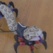 reverse evolution science can help snakes grow more legs 122398