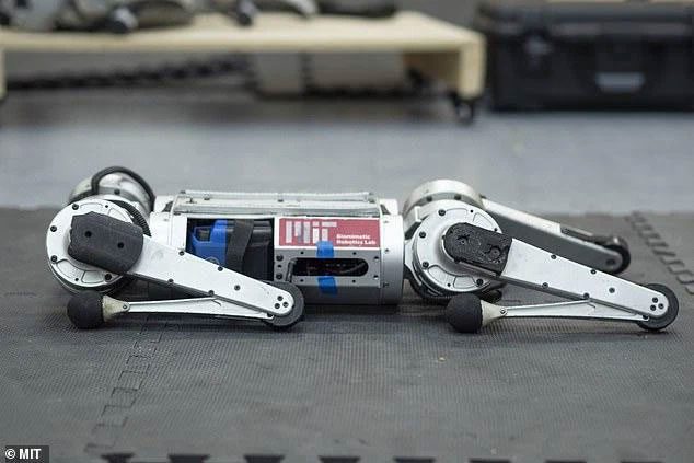 Cheetah mini Robot is an improved version of its sibling Cheetah launched in 2012.