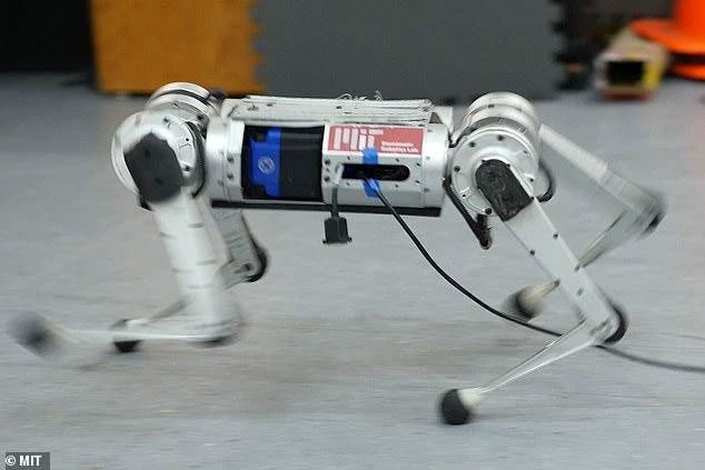robot bao cheetah 2