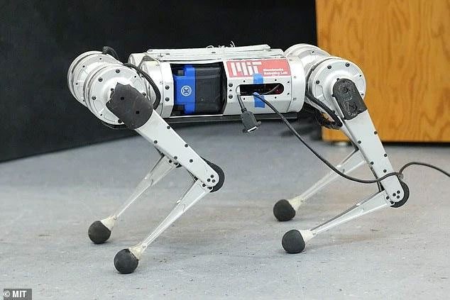 Cheetah mini Robot