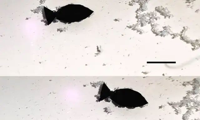 The fish robot can move flexibly in water and absorb floating microplastic particles.