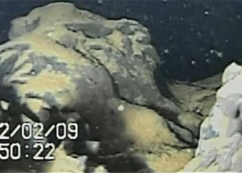 robot captures fuel to prevent wildfires in fukushima 118867