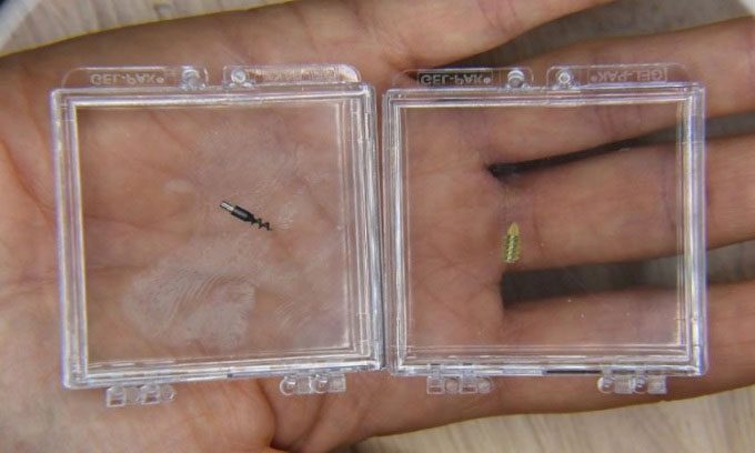 Bionaut Labs' ultra-small robot.