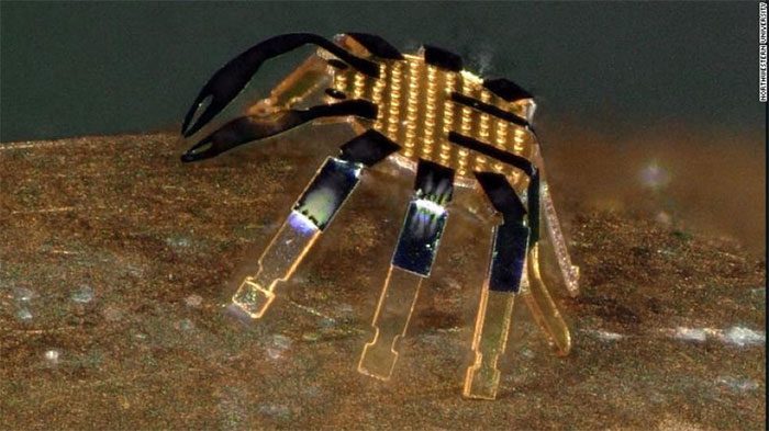 The tiny robot moves with the help of laser beams.