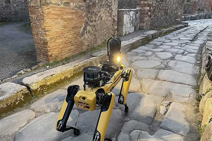 robot spot