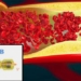 robot squid ink in blood vessel to break red dye 118312