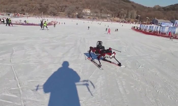 The machine resembles a dog with four fixed legs for balance