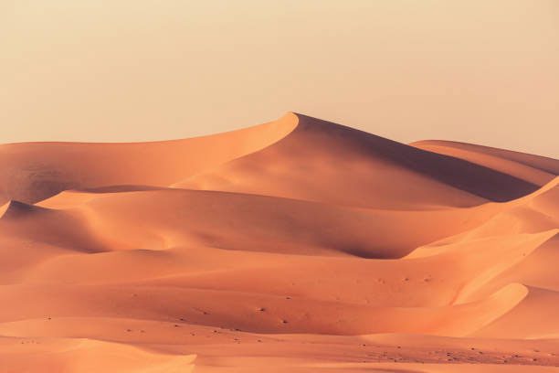 Desert area in Saudi Arabia