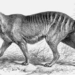 science hope resurrect tasmanian devil species 122439