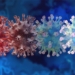 scientific research following new variants of sars cov 2 virus 119737