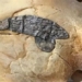 scientists amazed to find 2 000 year old compound near metal 118415