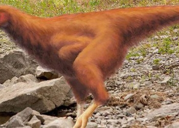 scientists can create chickens with dinosaur traits 123346
