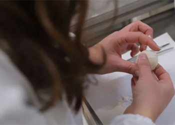 scientists create pizza dough without gluten 120186